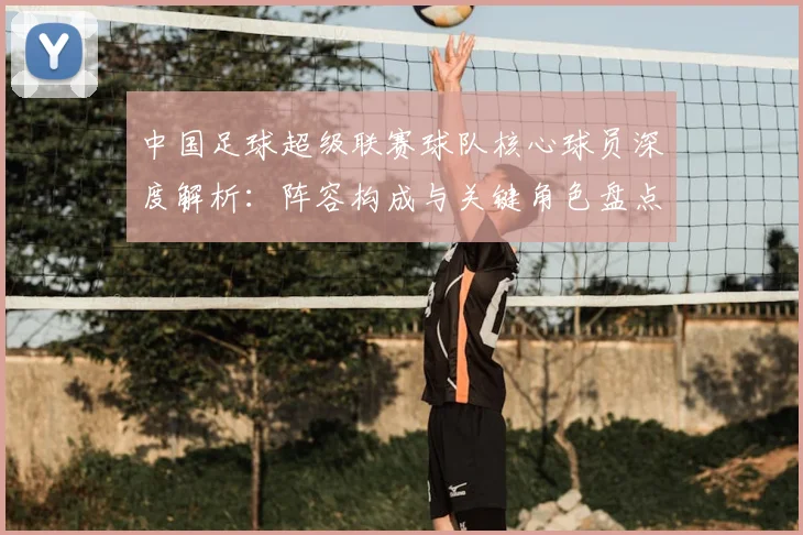 中国足球超级联赛球队核心球员深度解析：阵容构成与关键角色盘点